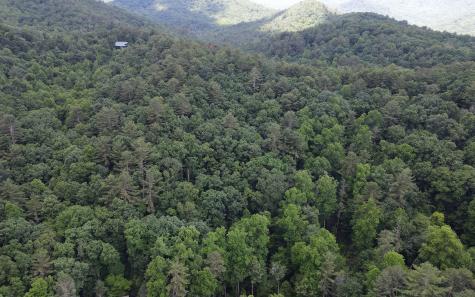 Trail 2 Cindy Cove Road Blairsville GA 30512