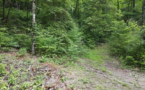 Trail 2 Cindy Cove Road Blairsville GA 30512