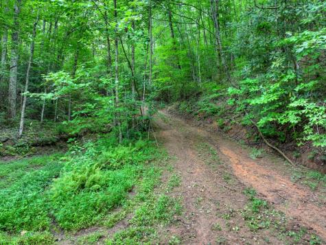0 Blalock Road Turtletown TN 37391