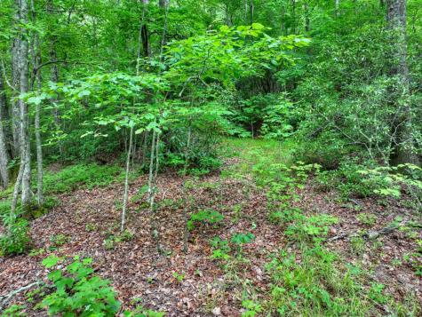 0 Blalock Road Turtletown TN 37391
