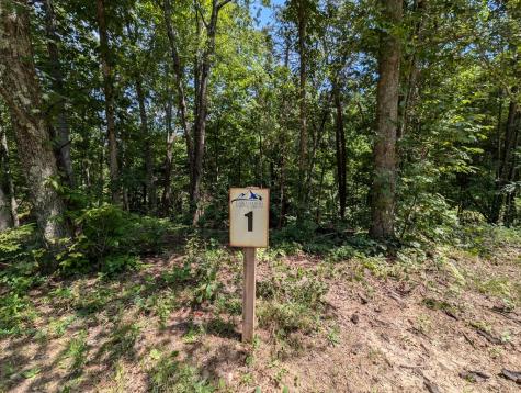 Lot 1 White Oak Circle Blue Ridge GA 30513