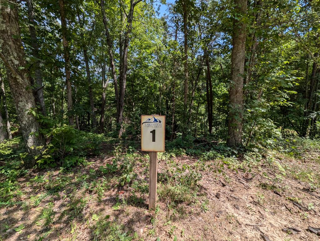 Lot 1 White Oak Circle Blue Ridge GA 30513