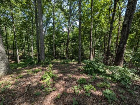 Lot 1 White Oak Circle Blue Ridge GA 30513