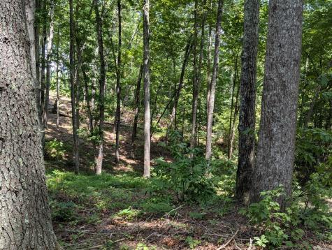 Lot 1 White Oak Circle Blue Ridge GA 30513