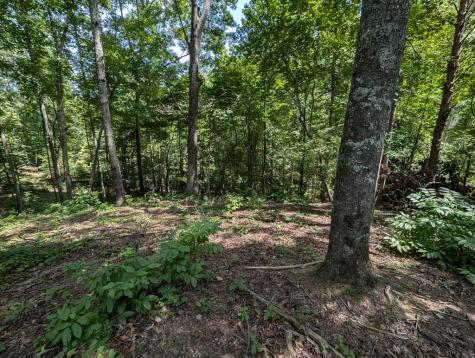 Lot 1 White Oak Circle Blue Ridge GA 30513