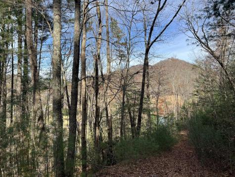 0 Downings Creek Lane Hayesville NC 28904