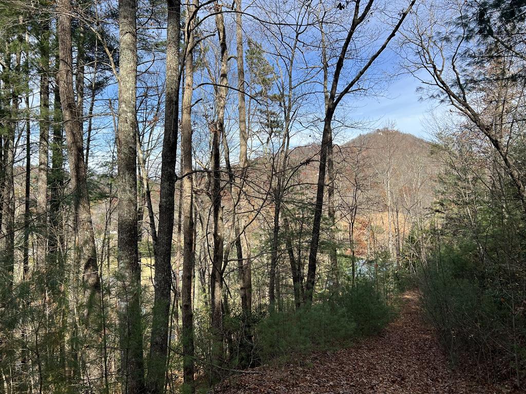 0 Downings Creek Lane Hayesville NC 28904