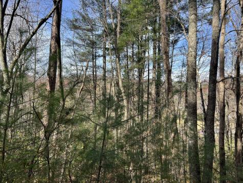 0 Downings Creek Lane Hayesville NC 28904
