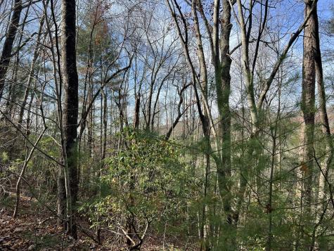0 Downings Creek Lane Hayesville NC 28904