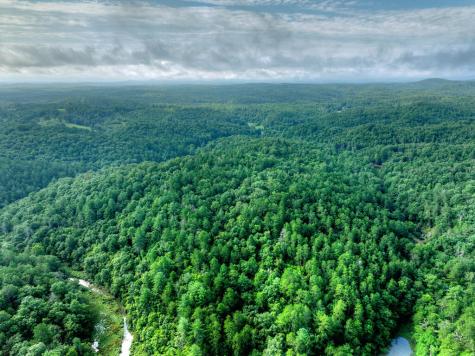 0 Andeburg Hollow Road Copperhill TN 37317
