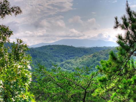 0 Andeburg Hollow Road Copperhill TN 37317