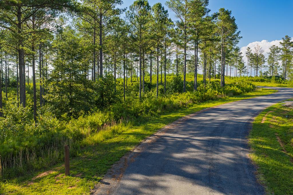 Lot 68 High River Road Ellijay GA 30540