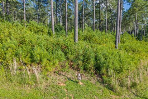 Lot 68 High River Road Ellijay GA 30540