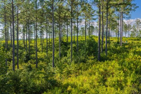 Lot 68 High River Road Ellijay GA 30540