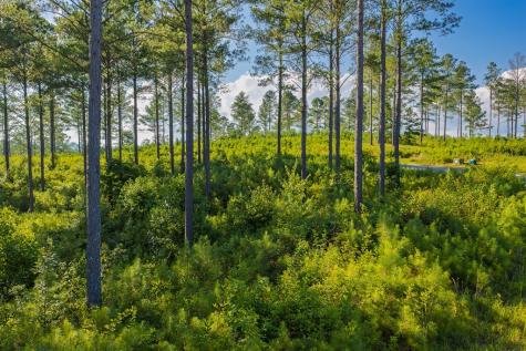 Lot 68 High River Road Ellijay GA 30540