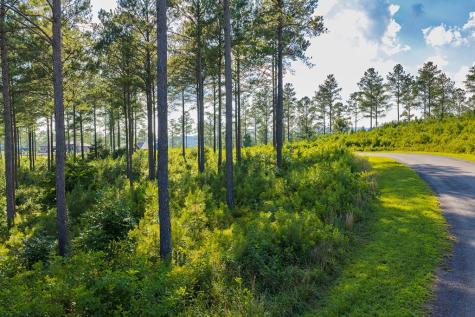 Lot 68 High River Road Ellijay GA 30540