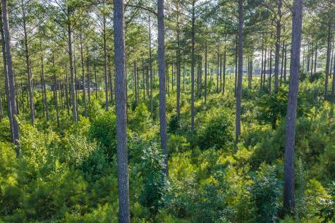 Lot 68 High River Road Ellijay GA 30540