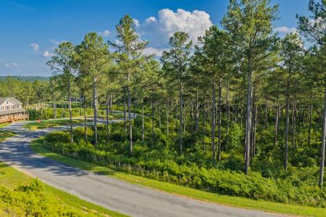 Lot 68 High River Road Ellijay GA 30540