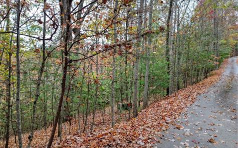 Lt 10 Amy Lynn Drive Blairsville GA 30512
