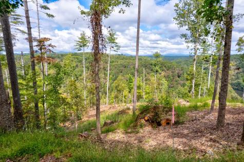 Lt 931 R Myna Drive Ellijay GA 30540