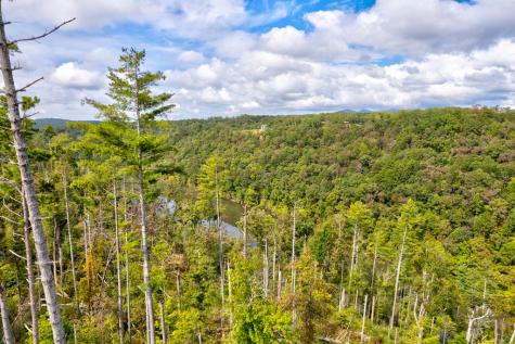 Lt 931 R Myna Drive Ellijay GA 30540