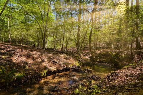 Lt 931 R Myna Drive Ellijay GA 30540