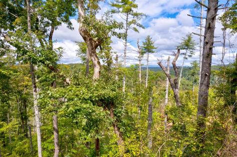 Lt 931 R Myna Drive Ellijay GA 30540