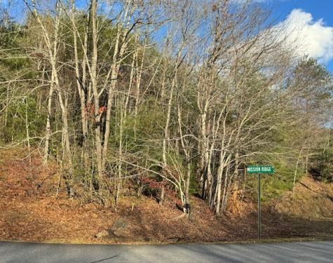 Lot 49 Mission Ridge Hayesville NC 28904