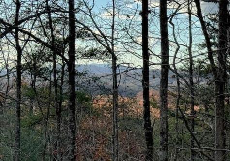 Lot 49 Mission Ridge Hayesville NC 28904