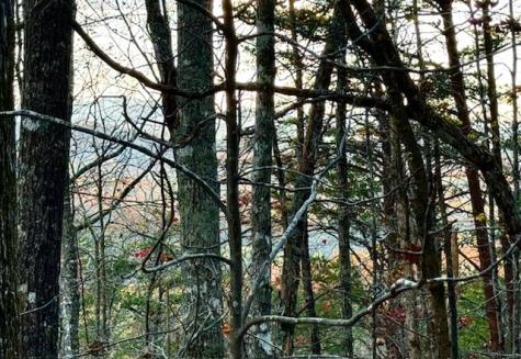 Lot 49 Mission Ridge Hayesville NC 28904