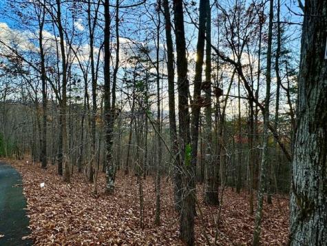 Lot 49 Mission Ridge Hayesville NC 28904