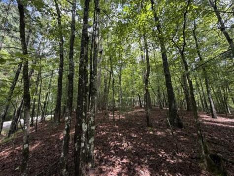 0-LT870 Oneida Circle Ellijay GA 30540