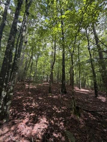 0-LT870 Oneida Circle Ellijay GA 30540