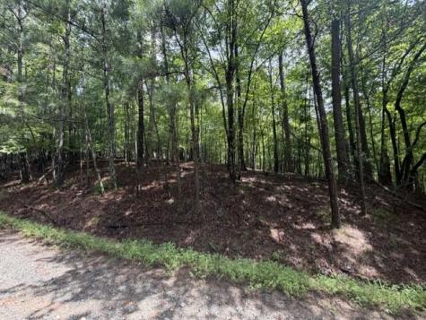 0-LT870 Oneida Circle Ellijay GA 30540