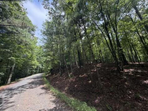 0-LT870 Oneida Circle Ellijay GA 30540