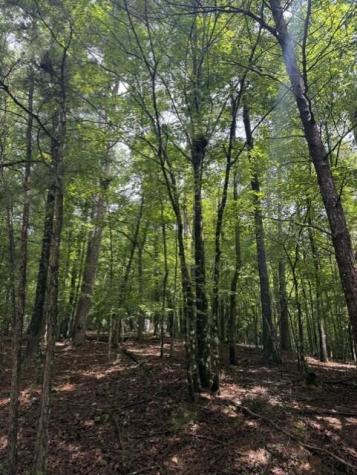 0-LT870 Oneida Circle Ellijay GA 30540