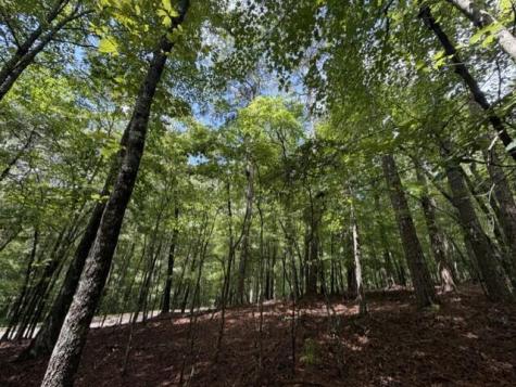 0-LT870 Oneida Circle Ellijay GA 30540