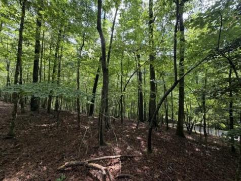 0-LT870 Oneida Circle Ellijay GA 30540