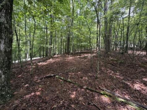 0-LT870 Oneida Circle Ellijay GA 30540