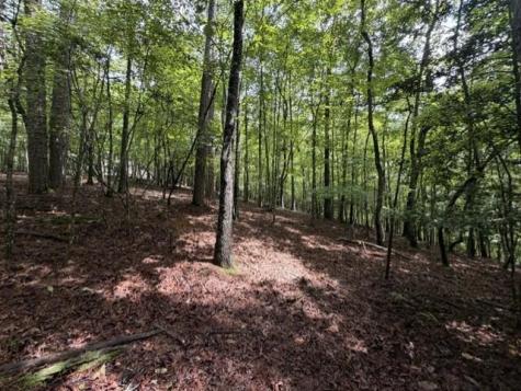 0-LT870 Oneida Circle Ellijay GA 30540