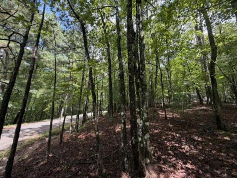0-LT870 Oneida Circle Ellijay GA 30540