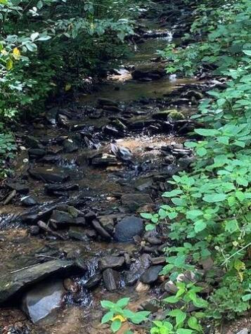 00 Seven Springs Road Jasper GA 30175