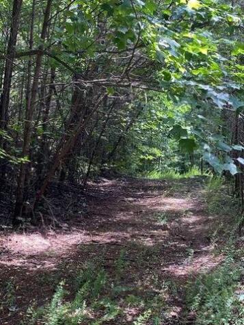 00 Seven Springs Road Jasper GA 30175