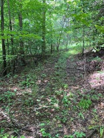00 Seven Springs Road Jasper GA 30175