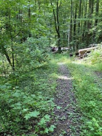 00 Seven Springs Road Jasper GA 30175