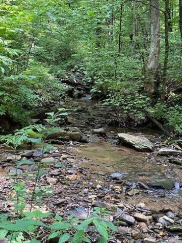 00 Seven Springs Road Jasper GA 30175