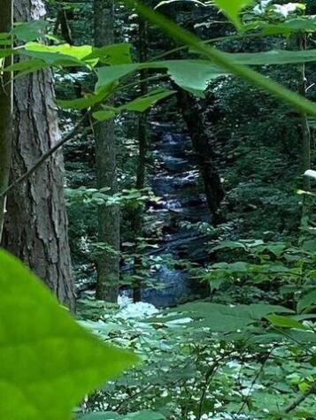 00 Seven Springs Road Jasper GA 30175