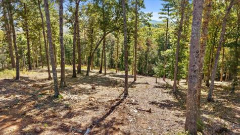 Lot 101 South Wind Court Morganton GA 30560