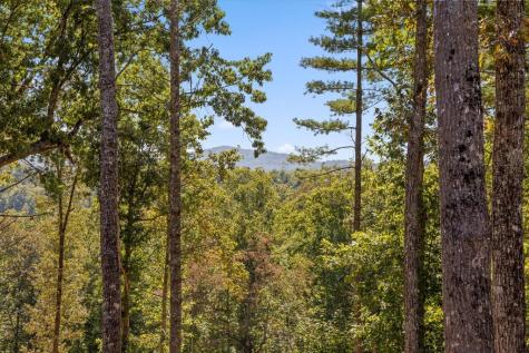 Lot 101 South Wind Court Morganton GA 30560
