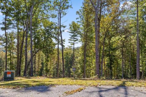 Lot 101 South Wind Court Morganton GA 30560